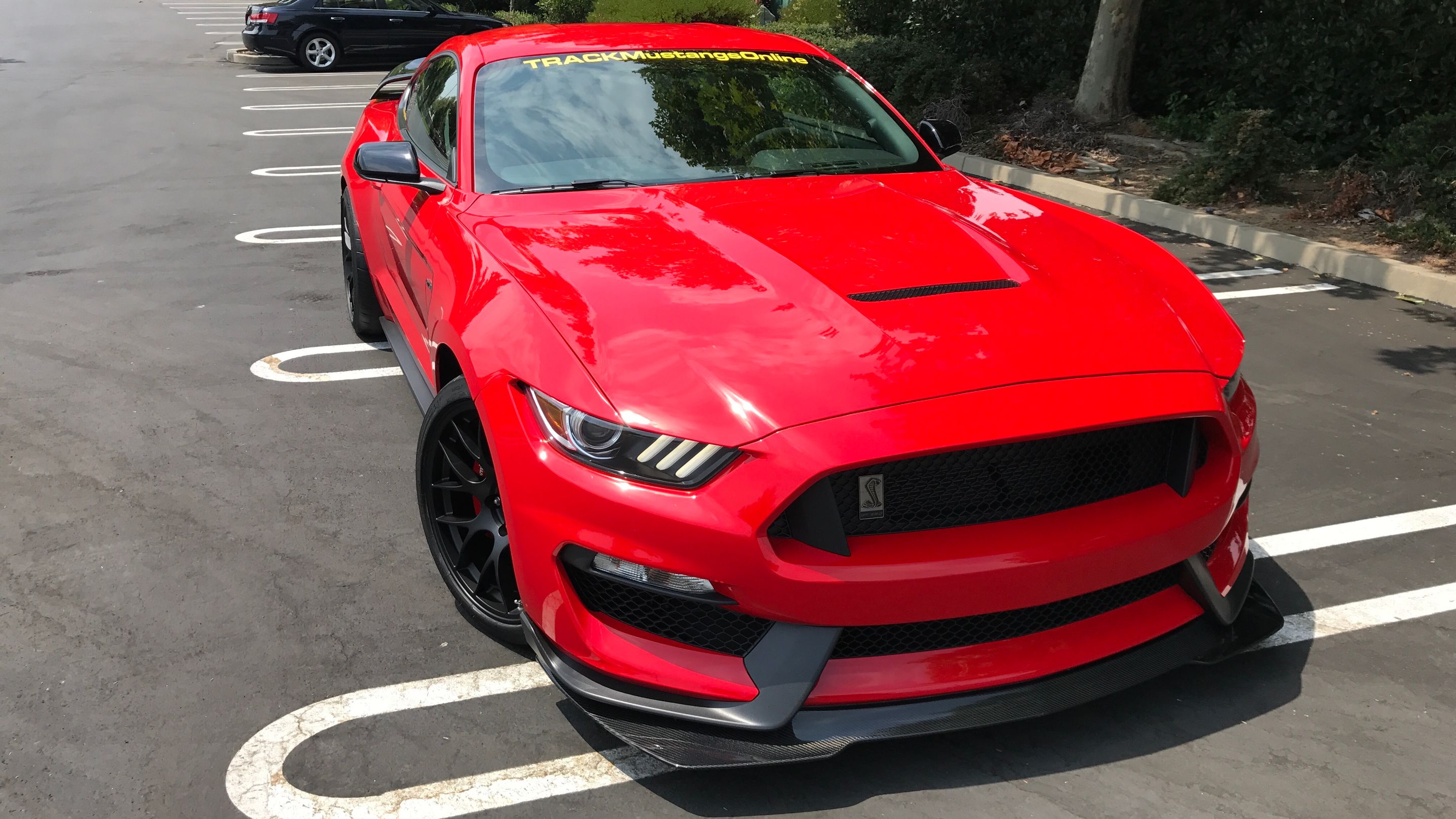 Red Ford S550 Mustang GT350 with 19" EC-7 Apex wheels in Satin Black
