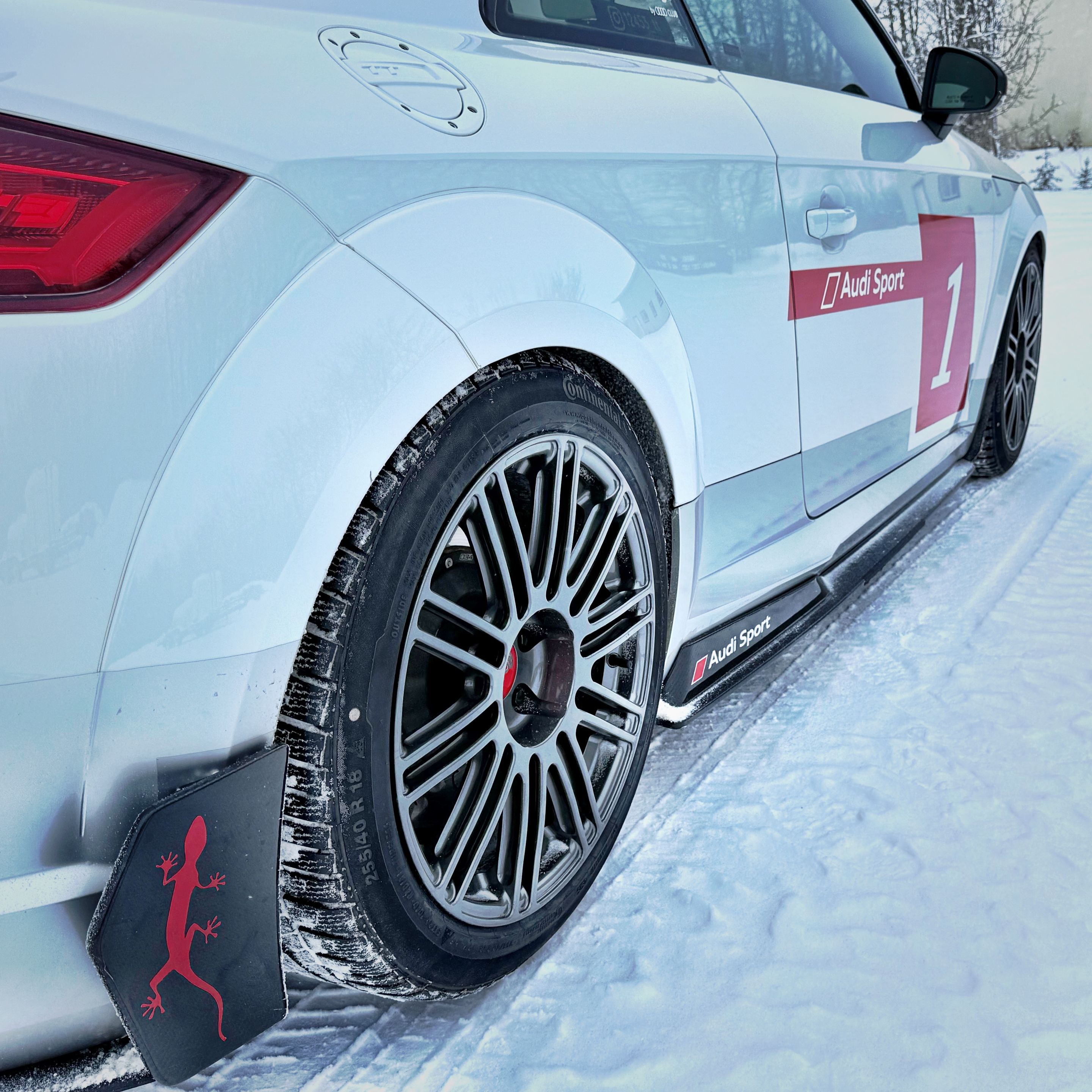 Race Livery Audi FV/8S TT RS with 18" TC-10RT Apex wheels in Anthracite