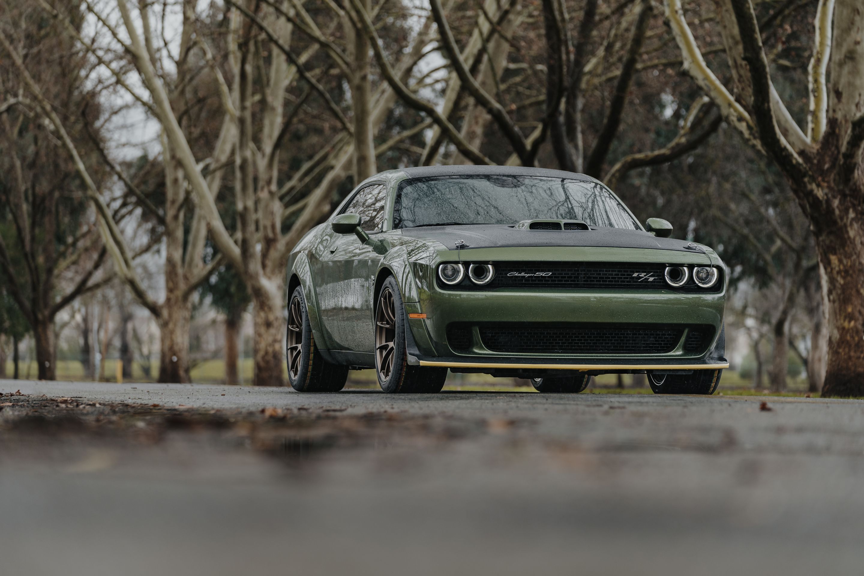Green Dodge Challenger R/T Scat Pack Widebody with 20" VS-5RS Apex wheels in Satin Bronze