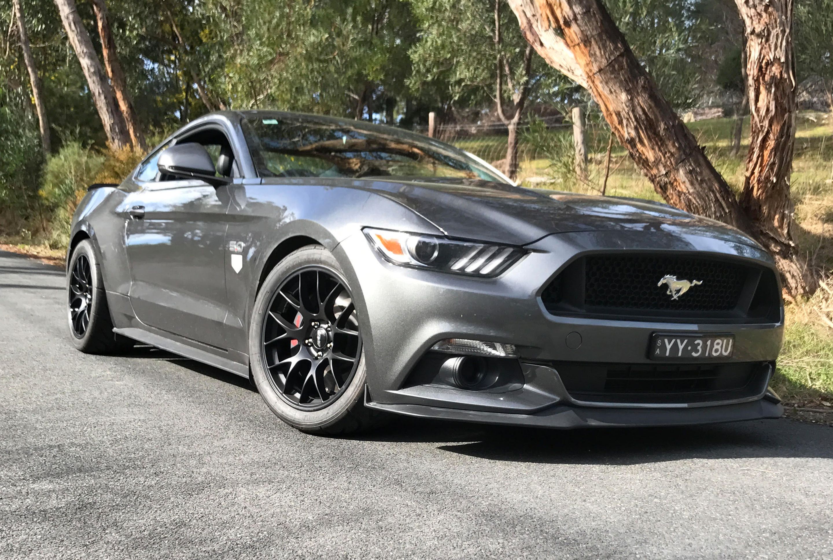 Grey Ford S550 Mustang GT with 18" EC-7 Apex wheels in Satin Black