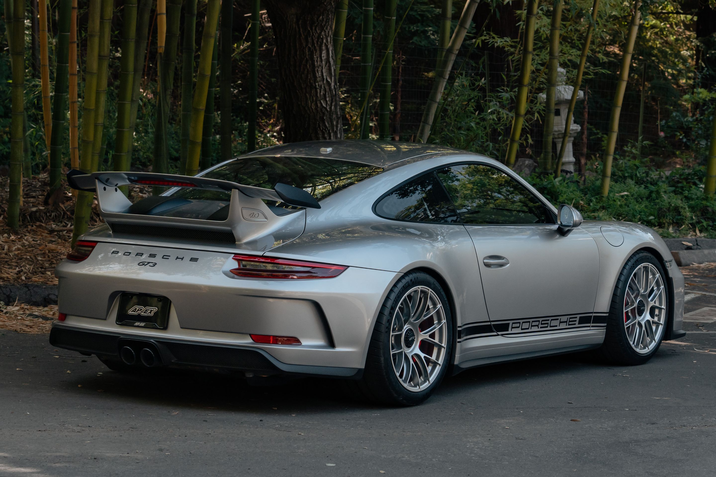 Silver Porsche 911 991.2 GT3 with 19" EC-7RS Apex wheels in Race Silver