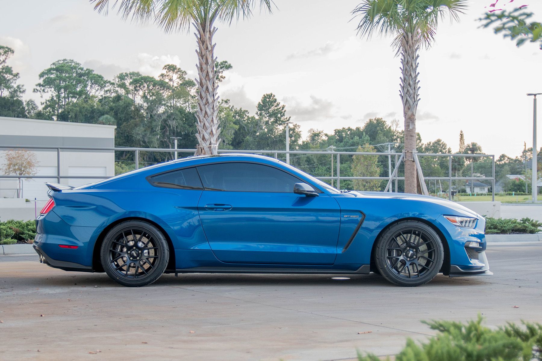 Blue Ford S550 Mustang GT350 with 19" EC-7 Apex wheels in Satin Black