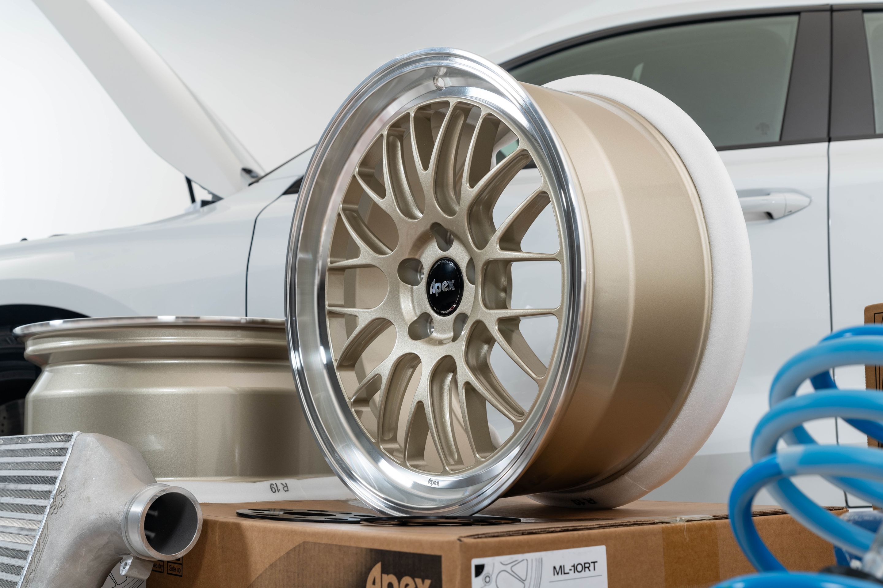 Race Livery Audi 8Y RS 3 with 19" ML-10RT Apex wheels in Machined Lip Gloss Motorsport Gold