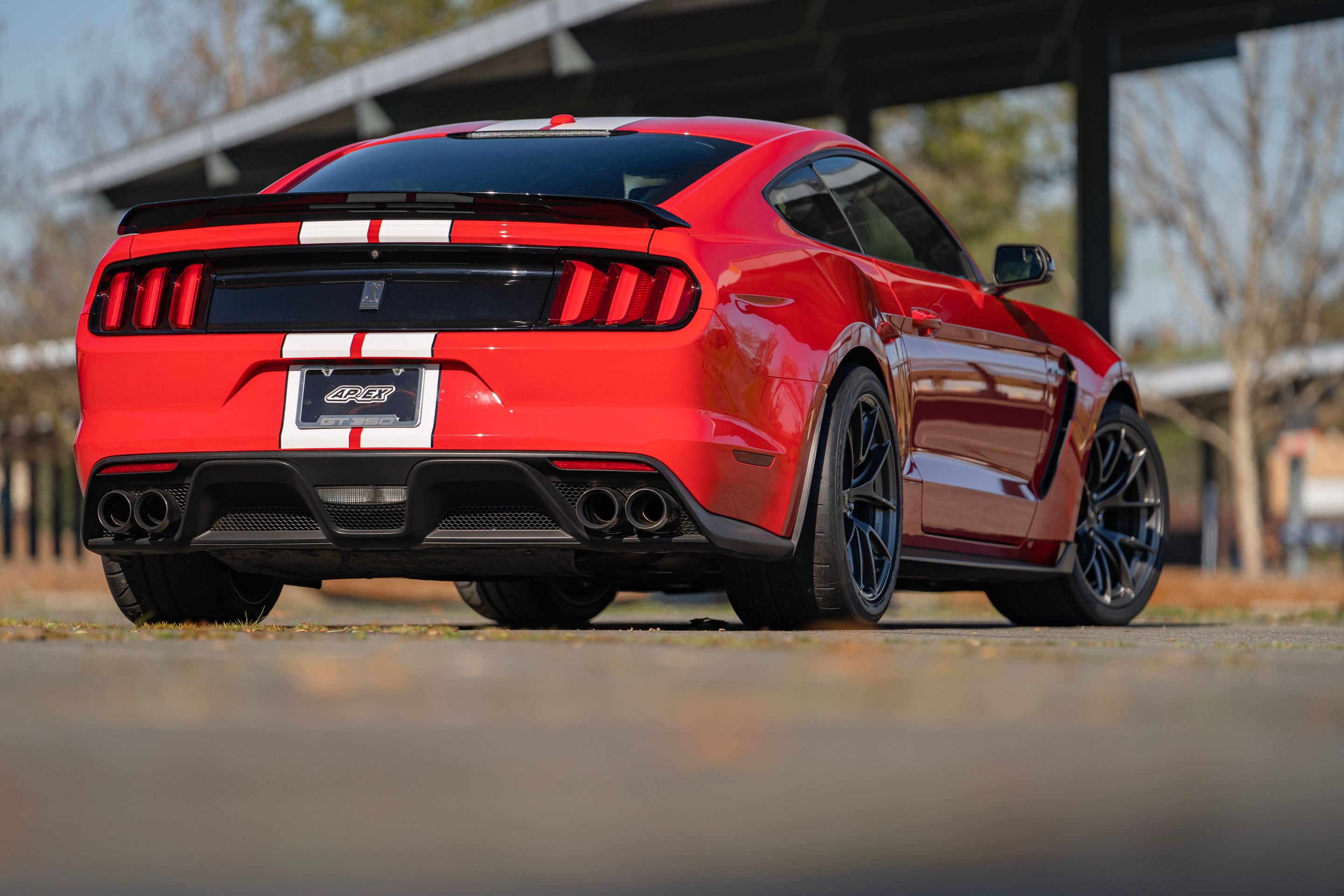 Red Ford S550 Mustang GT350 with 19" VS-5RS Apex wheels in Anthracite