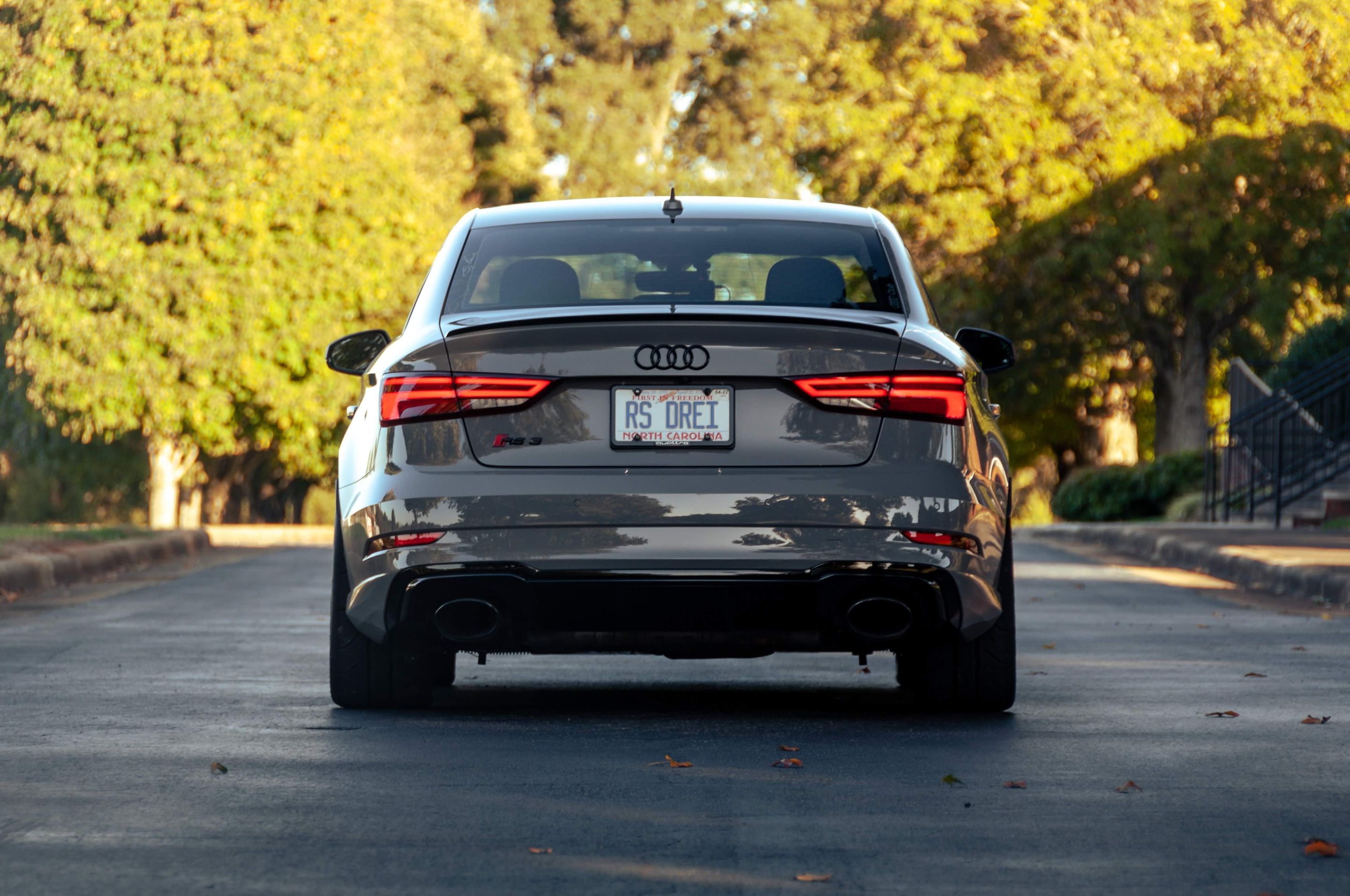 Grey Audi 8V RS 3 with 18" SM-10 Apex wheels in Satin Bronze