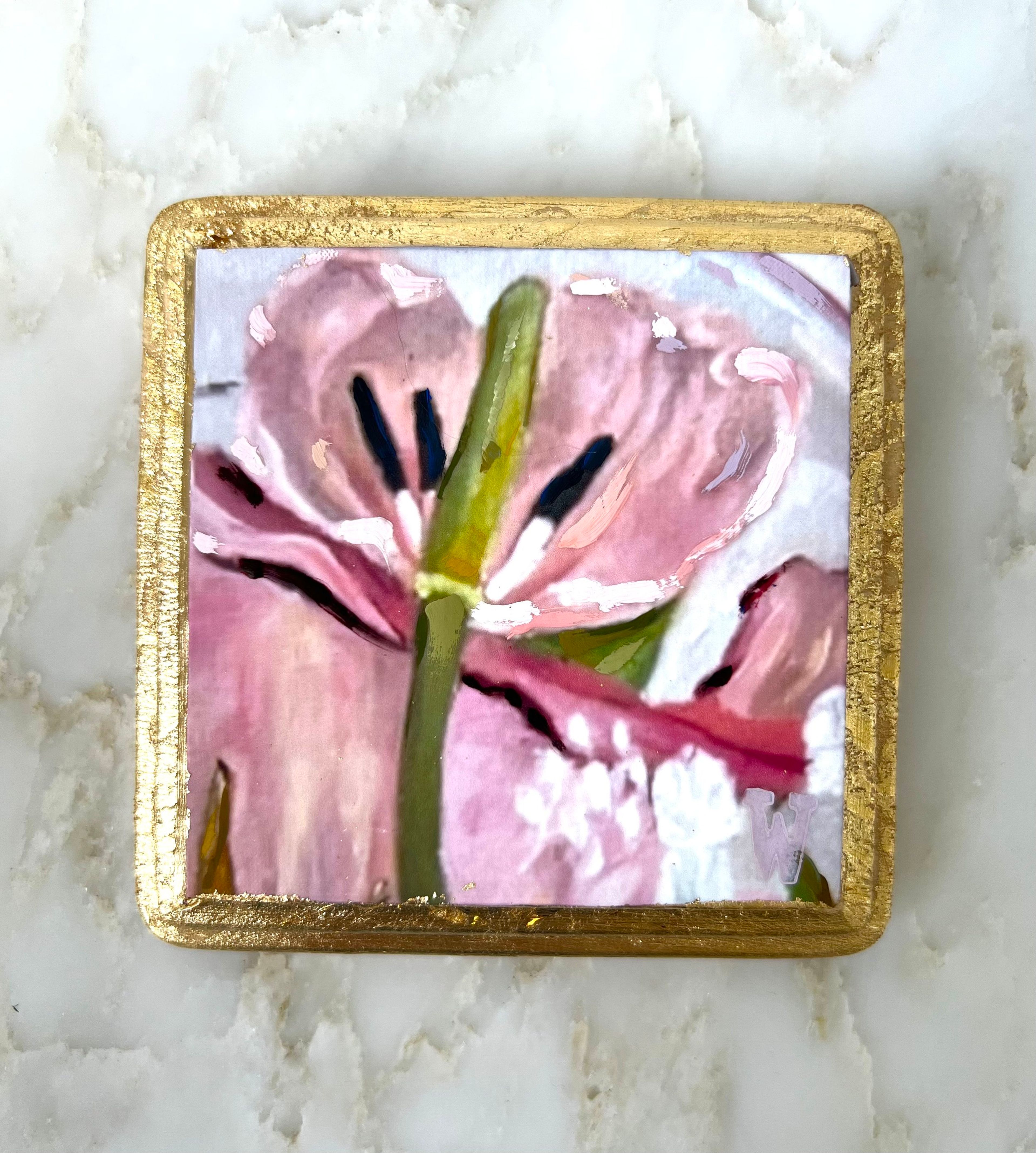 Light Pink Open Tulip