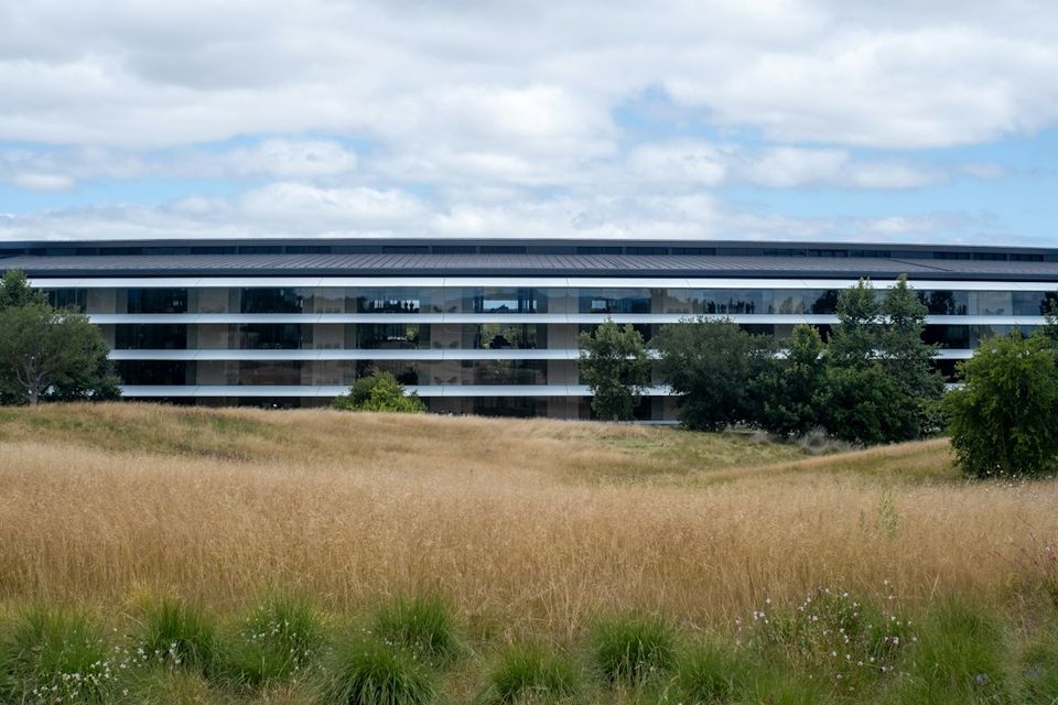 Modern corporate building with a large field of dry grass