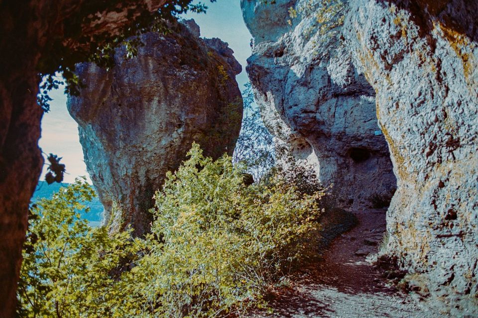 A narrow dirt path winding between large weathered limestone rock formations in a forest