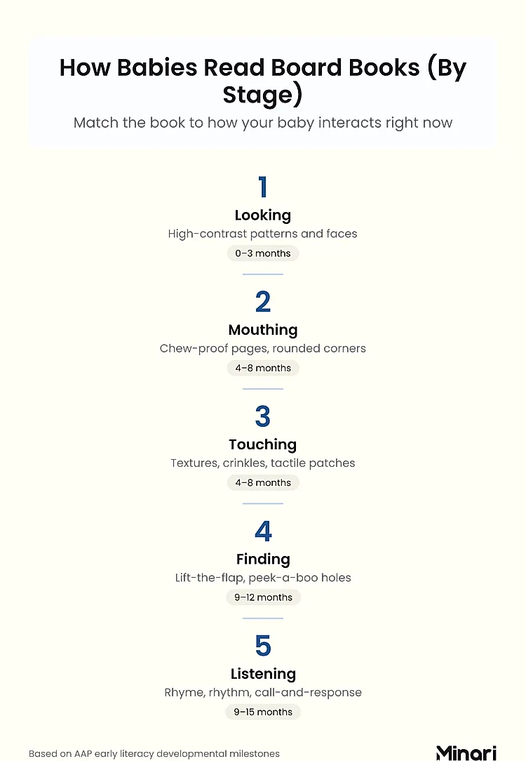 Step-sequence infographic: How Babies Read Board Books by Stage — 1. Looking (0–3 months): high-contrast patterns and faces; 2. Mouthing (4–8 months): chew-proof pages, rounded corners; 3. Touching (4–8 months): textures, crinkles, tactile patches; 4. Finding (9–12 months): lift-the-flap, peek-a-boo holes; 5. Listening (9–15 months): rhyme, rhythm, call-and-response