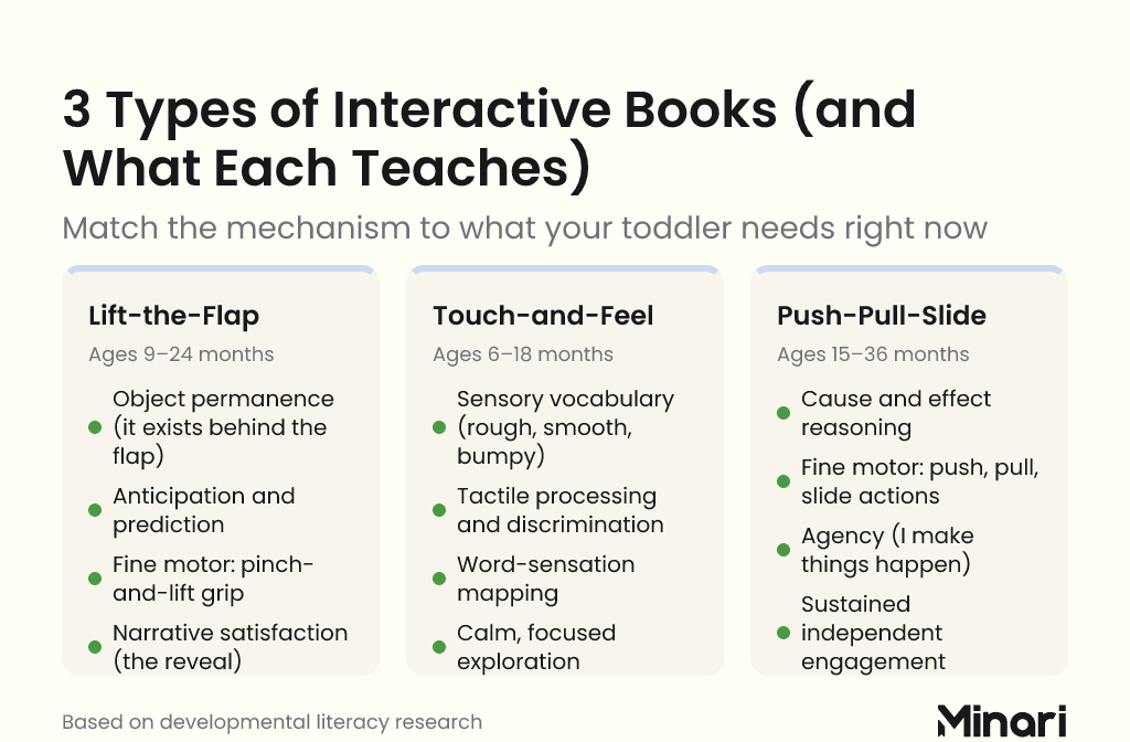 Comparison infographic: 3 Types of Interactive Books and What Each Teaches — Lift-the-Flap (ages 9–24 months): object permanence, anticipation, fine motor pinch-and-lift, narrative satisfaction; Touch-and-Feel (ages 6–18 months): sensory vocabulary, tactile processing, word-sensation mapping, calm focused exploration; Push-Pull-Slide (ages 15–36 months): cause and effect reasoning, fine motor push/pull/slide actions, agency, sustained independent engagement