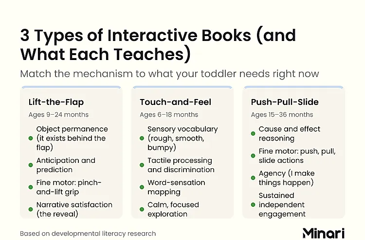 Comparison infographic: 3 Types of Interactive Books and What Each Teaches — Lift-the-Flap (ages 9–24 months): object permanence, anticipation, fine motor pinch-and-lift, narrative satisfaction; Touch-and-Feel (ages 6–18 months): sensory vocabulary, tactile processing, word-sensation mapping, calm focused exploration; Push-Pull-Slide (ages 15–36 months): cause and effect reasoning, fine motor push/pull/slide actions, agency, sustained independent engagement