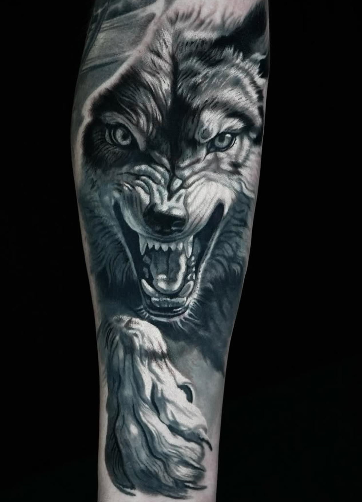 Black and grey realistic snarling wolf tattoo on forearm