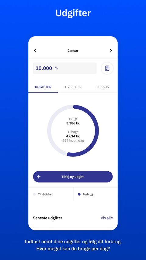 Lommebudget app skærmbillede 2
