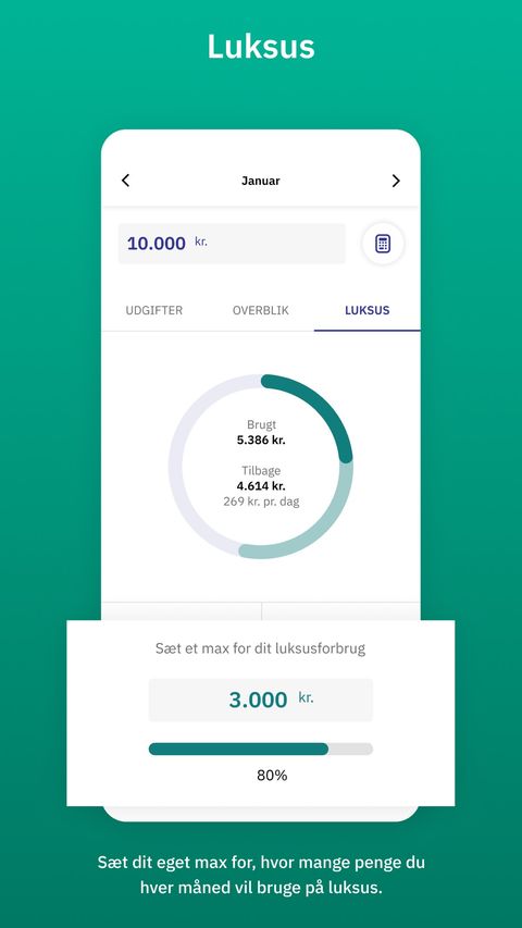 Lommebudget app skærmbillede 3