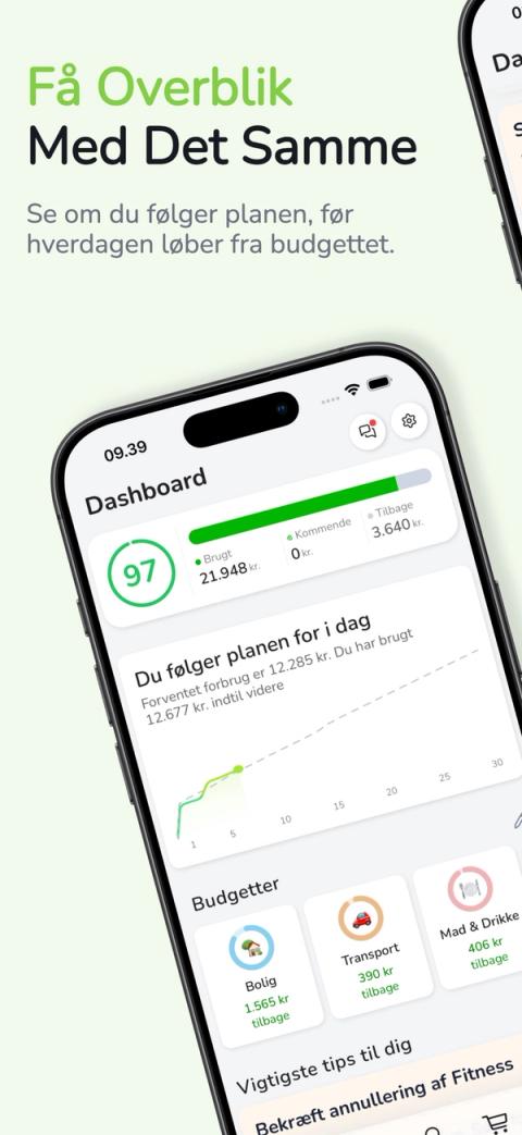 Bliss Budget app skærmbillede 1