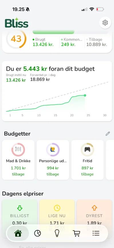 Økonomisk overblik i Bliss Budget
