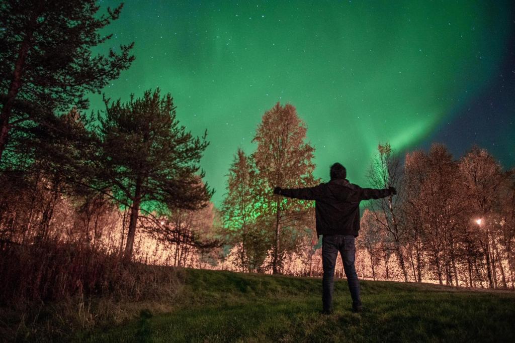 A person beneath green northern lights among trees