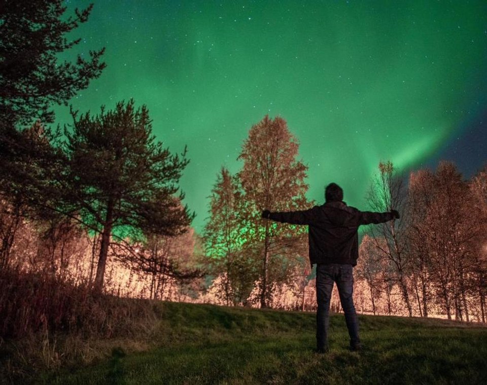 A person beneath green northern lights among trees