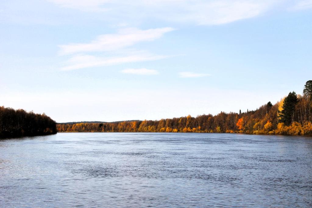 Autumn foliage along the opposite bank of the Ivalo River