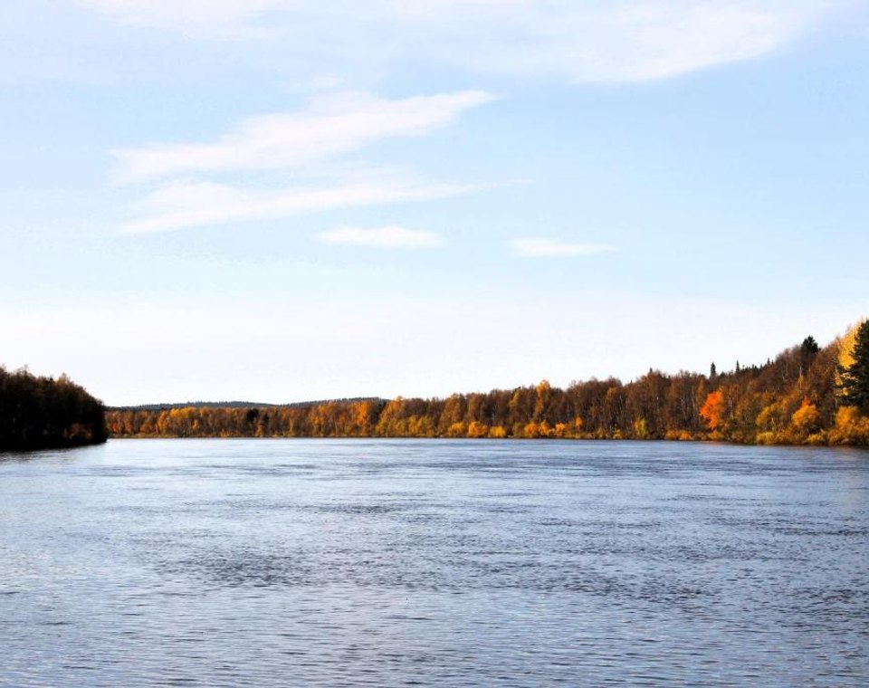 Autumn foliage along the opposite bank of the Ivalo River