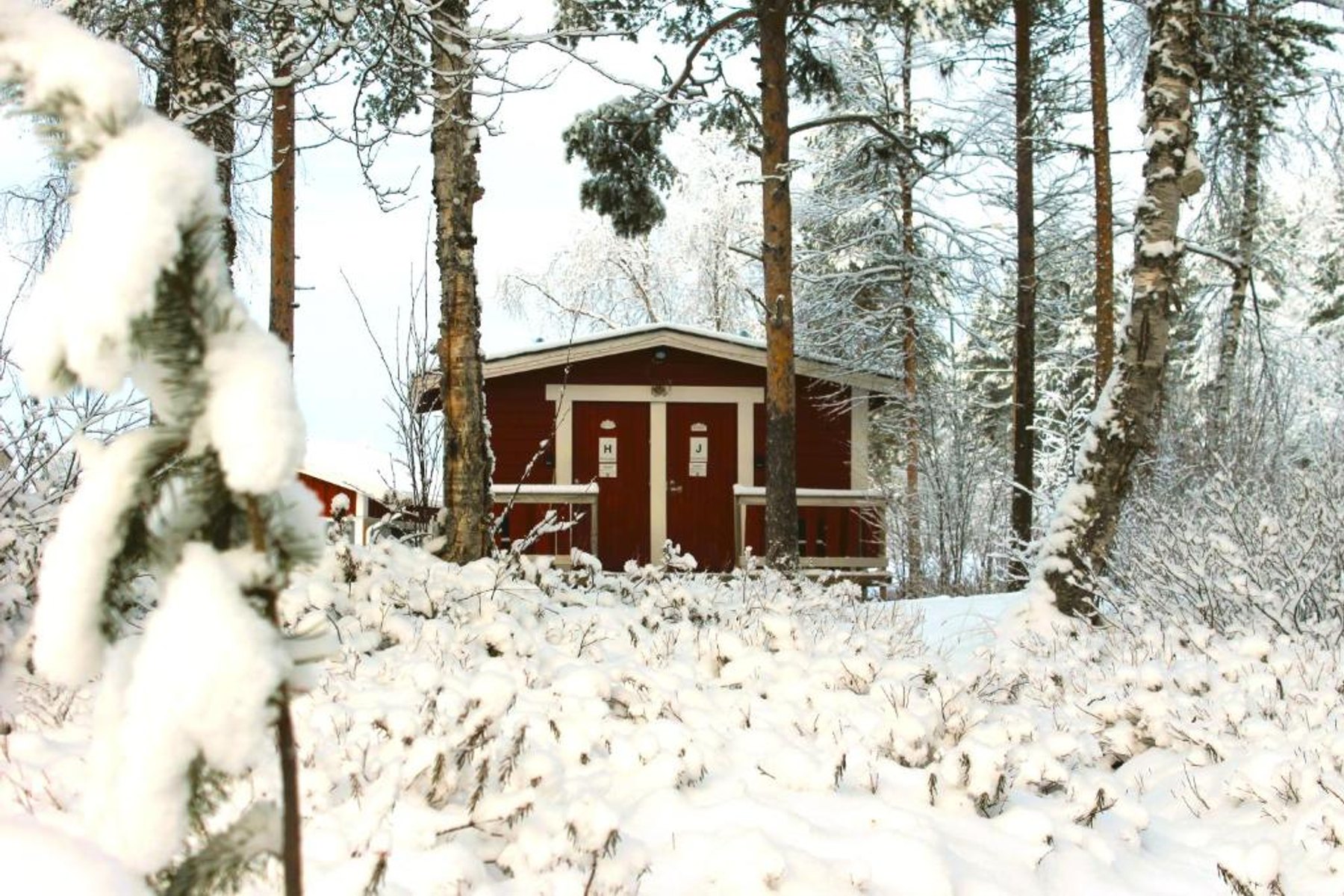 Red single cottage in a snowy forest at Ivalo River Camping