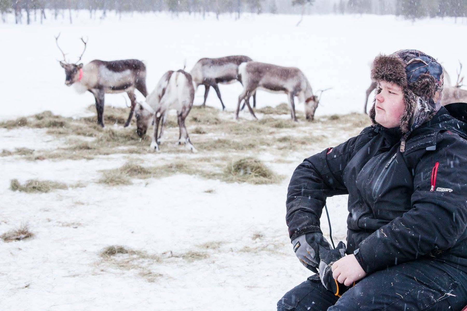 Meet the Reindeer & Outdoor Lunch 1