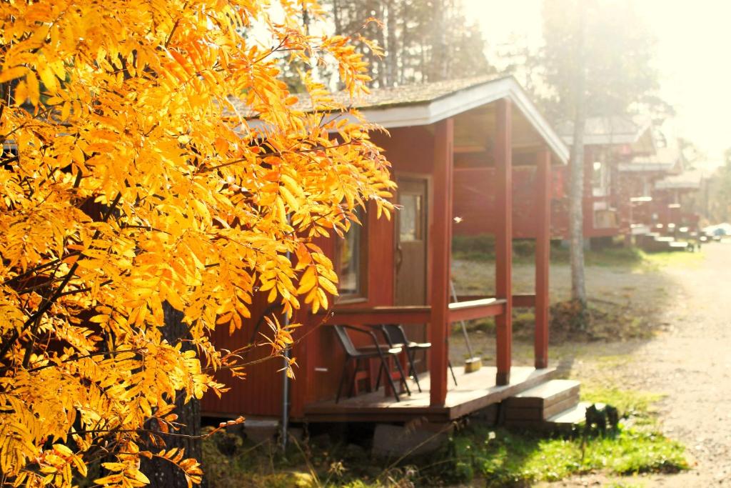 Red cottages in autumn sunlight at Ivalo River Camping
