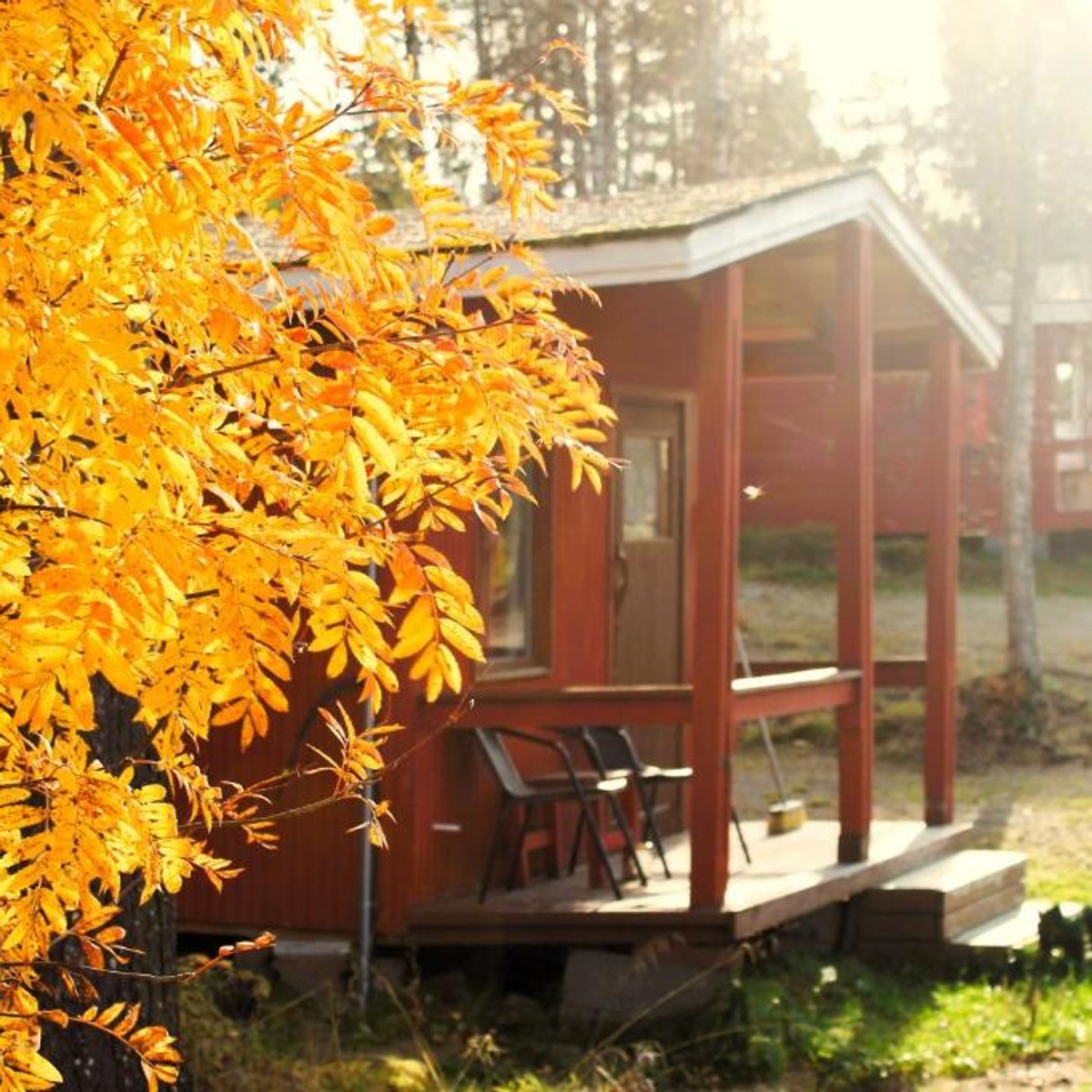 Red cottages in autumn sunlight at Ivalo River Camping