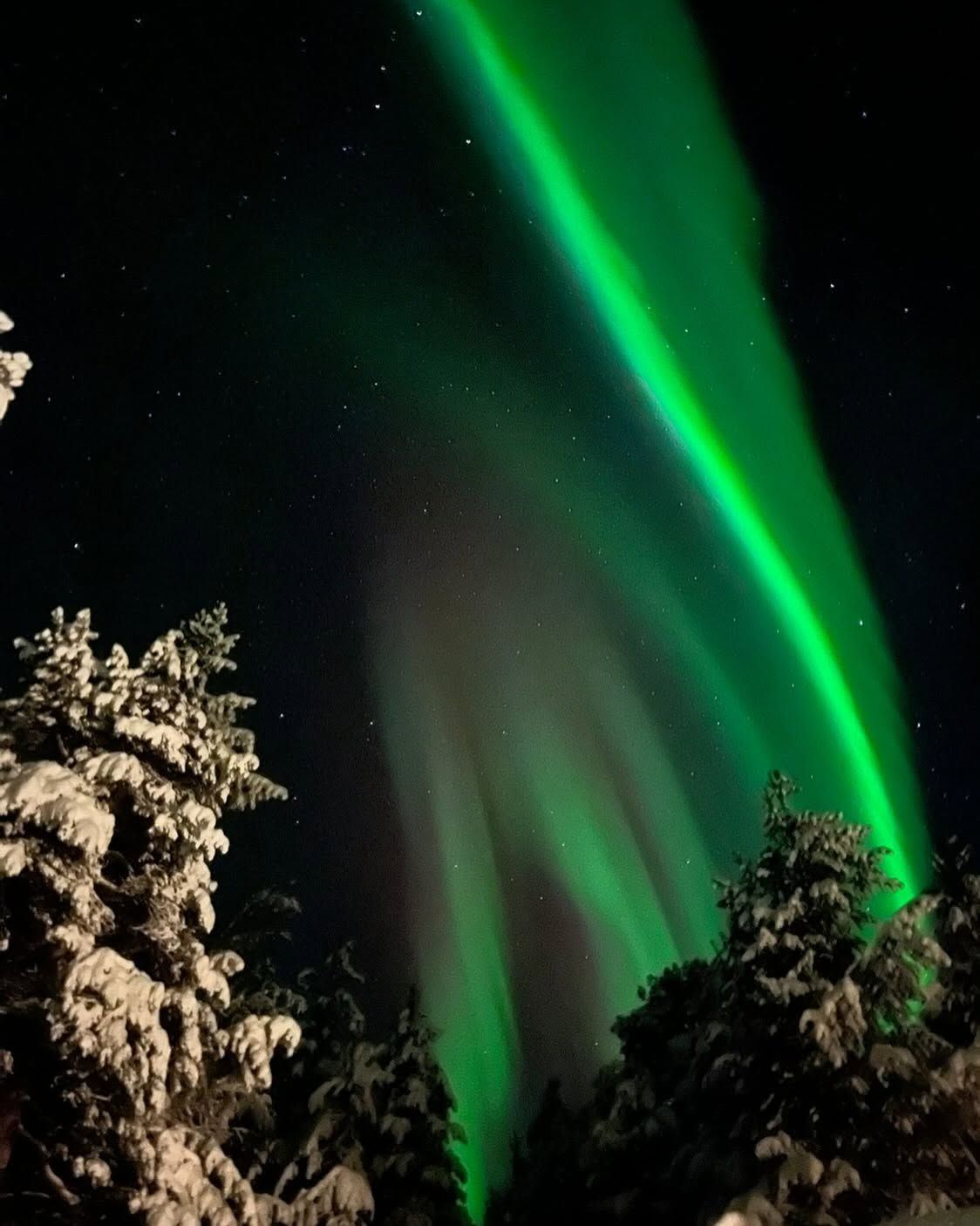Why Ivalo is one of the best places to experience the northern lights