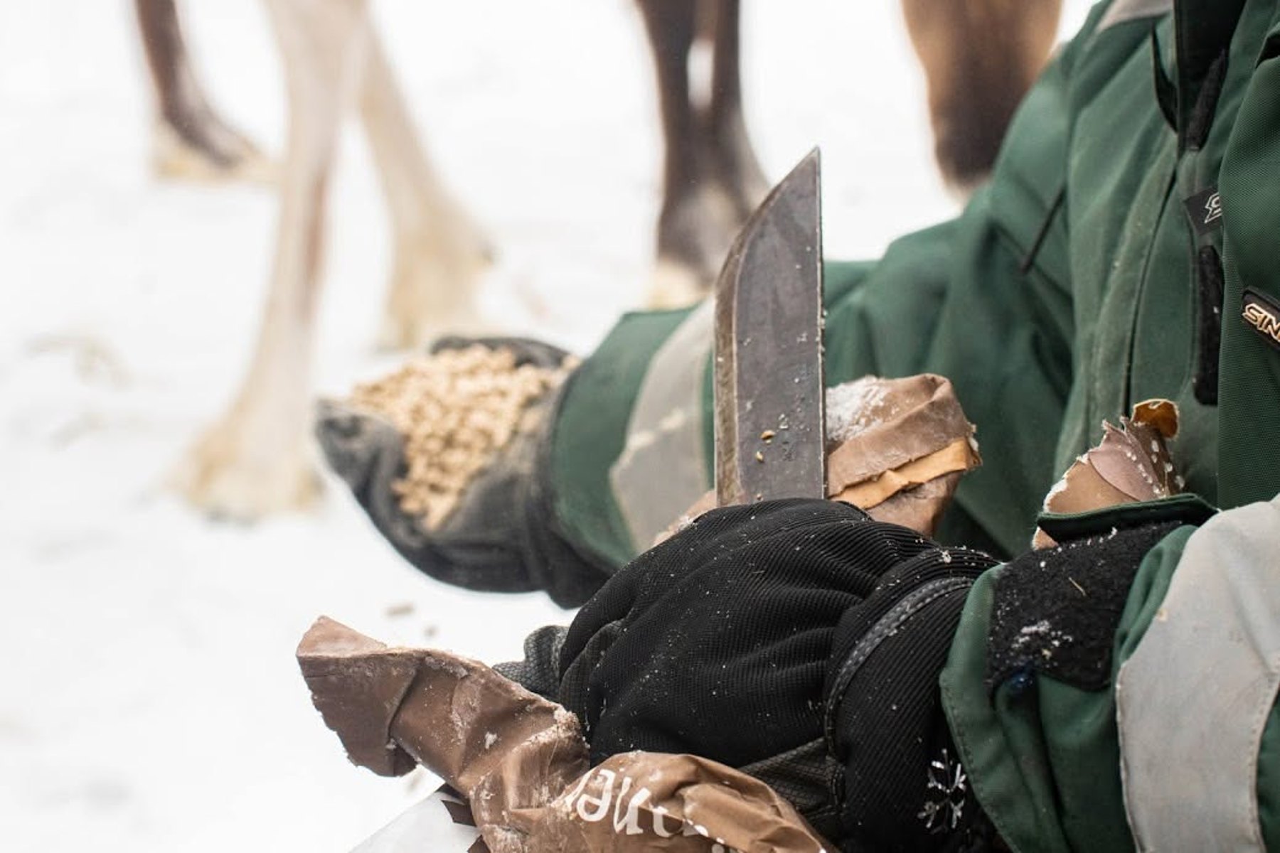 Meet the Reindeer & Outdoor Lunch 2