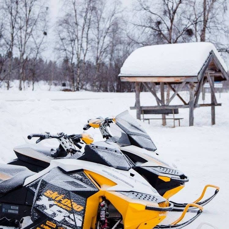 Snowmobile Safari 1