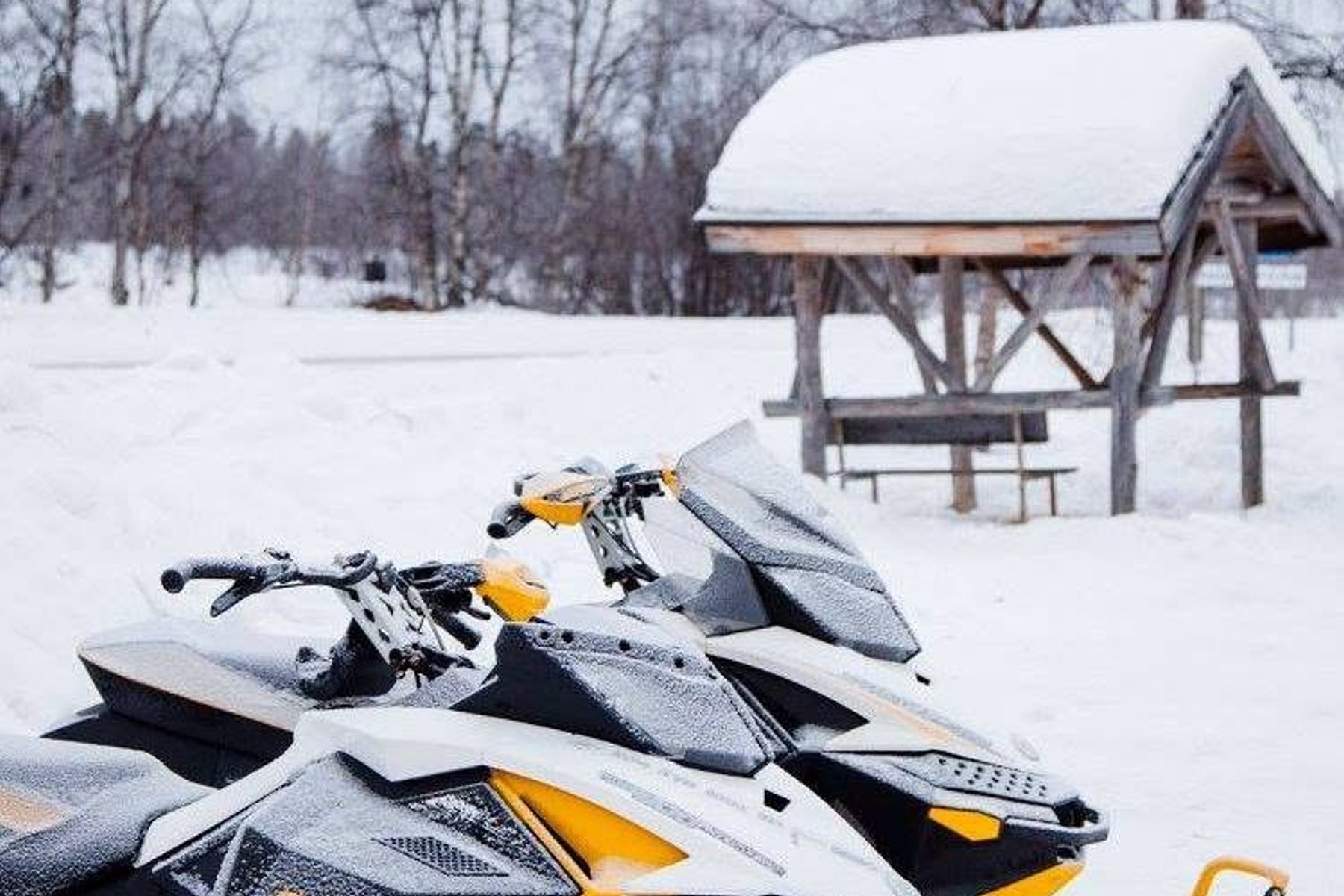 Snowmobile Safari 1