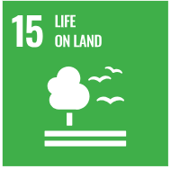 Deforestation Risk Assessment by Patties