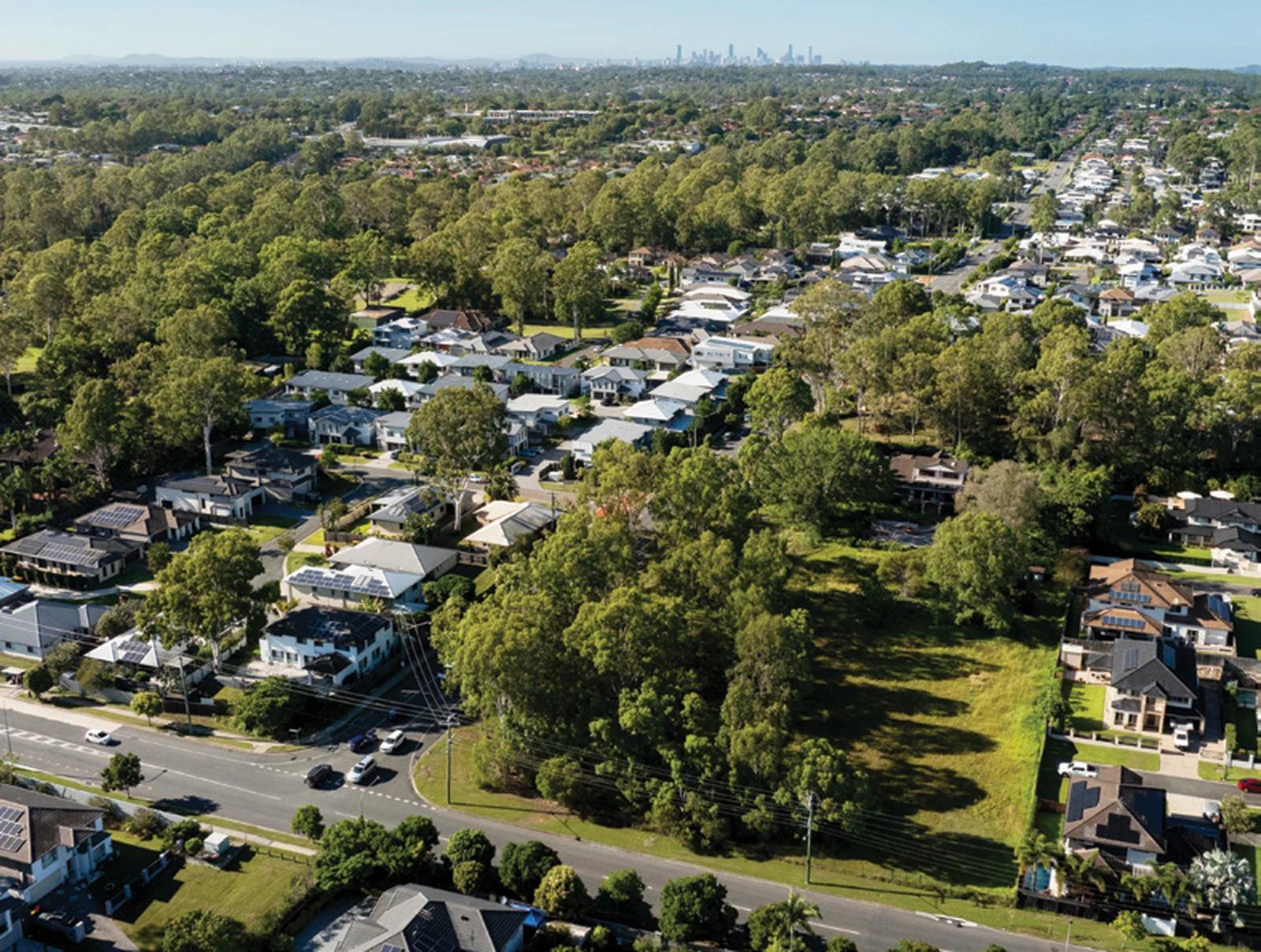 Grevillea Bridgeman Downs Tree-Lined Streetscape Setting