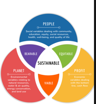 Triple Bottom Line (TBL): Why Businesses Are Shifting to Sustainable Growth