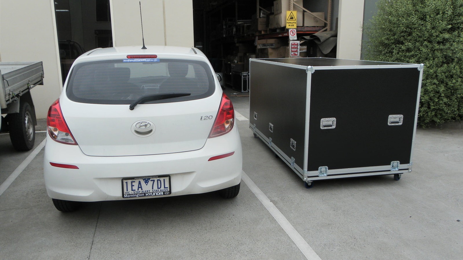 Giant Packer Case With Shallow Base