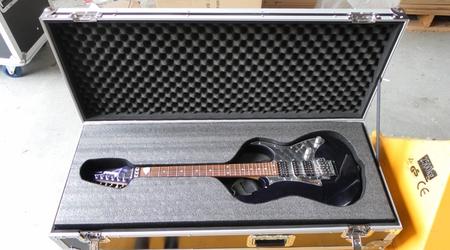 Custom Double Electric Guitar Case