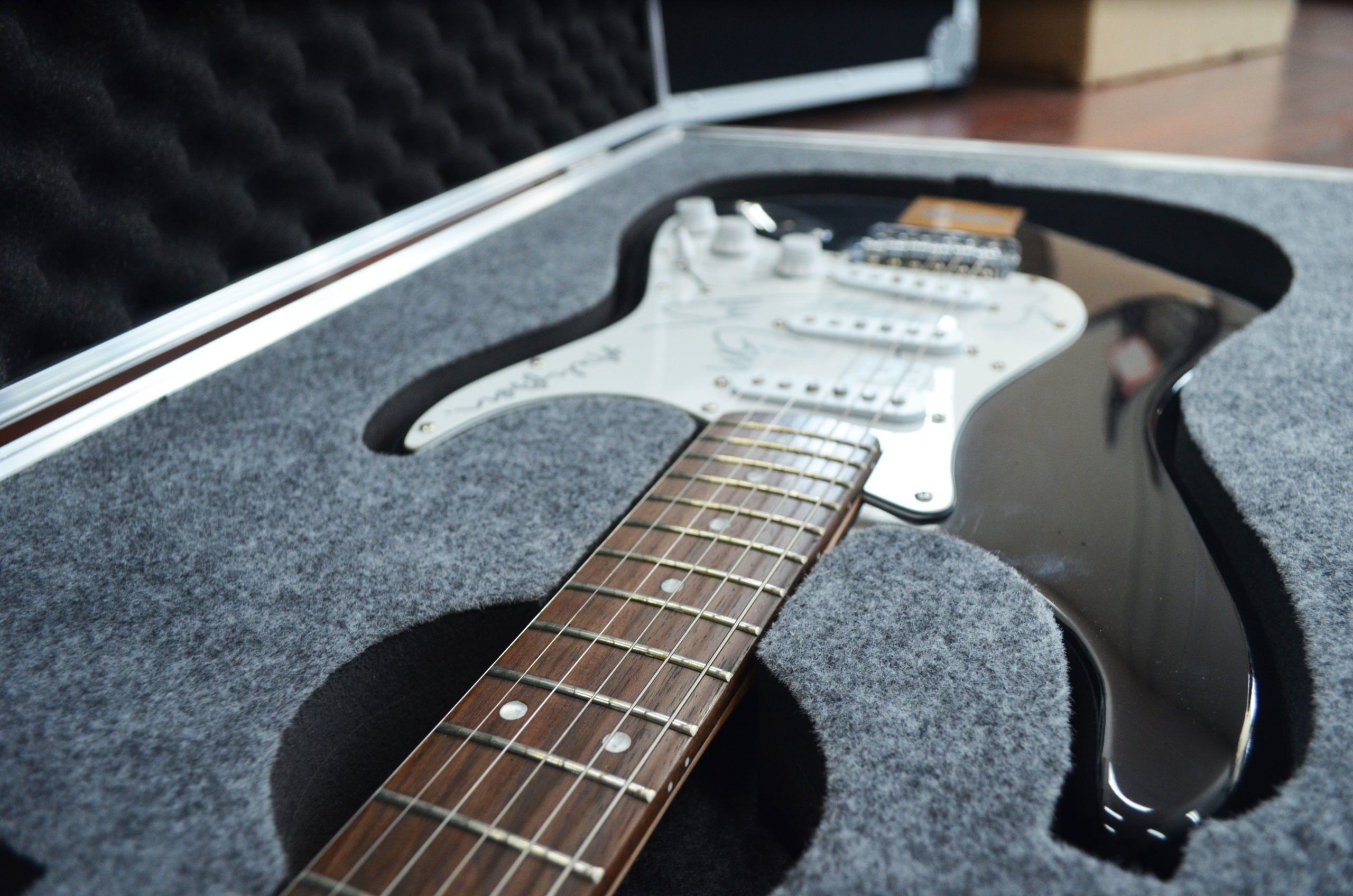 strat_flight_case_4-scaled.jpg