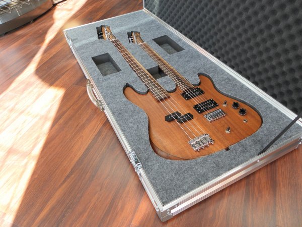 Custom Guitar Case And Foam Insert For Double Neck Guitar