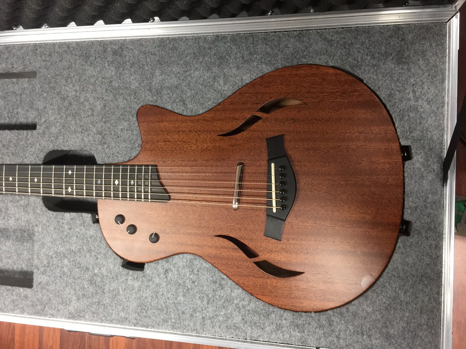 Custom Guitar Case and Foam Insert For Taylor T5Z Acoustic Guitar (view 2 of 3)