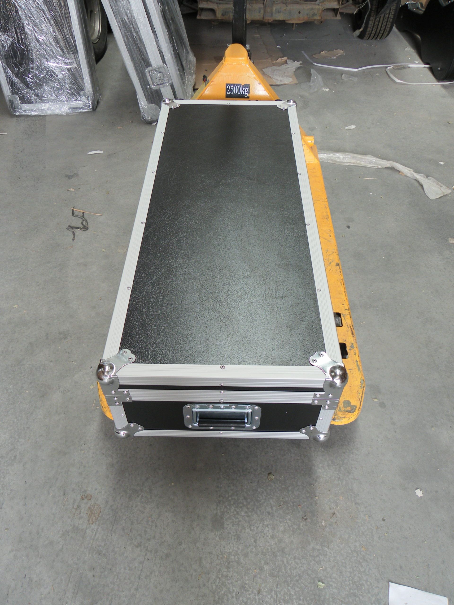 Custom Double Electric Guitar Case (view 7 of 7)