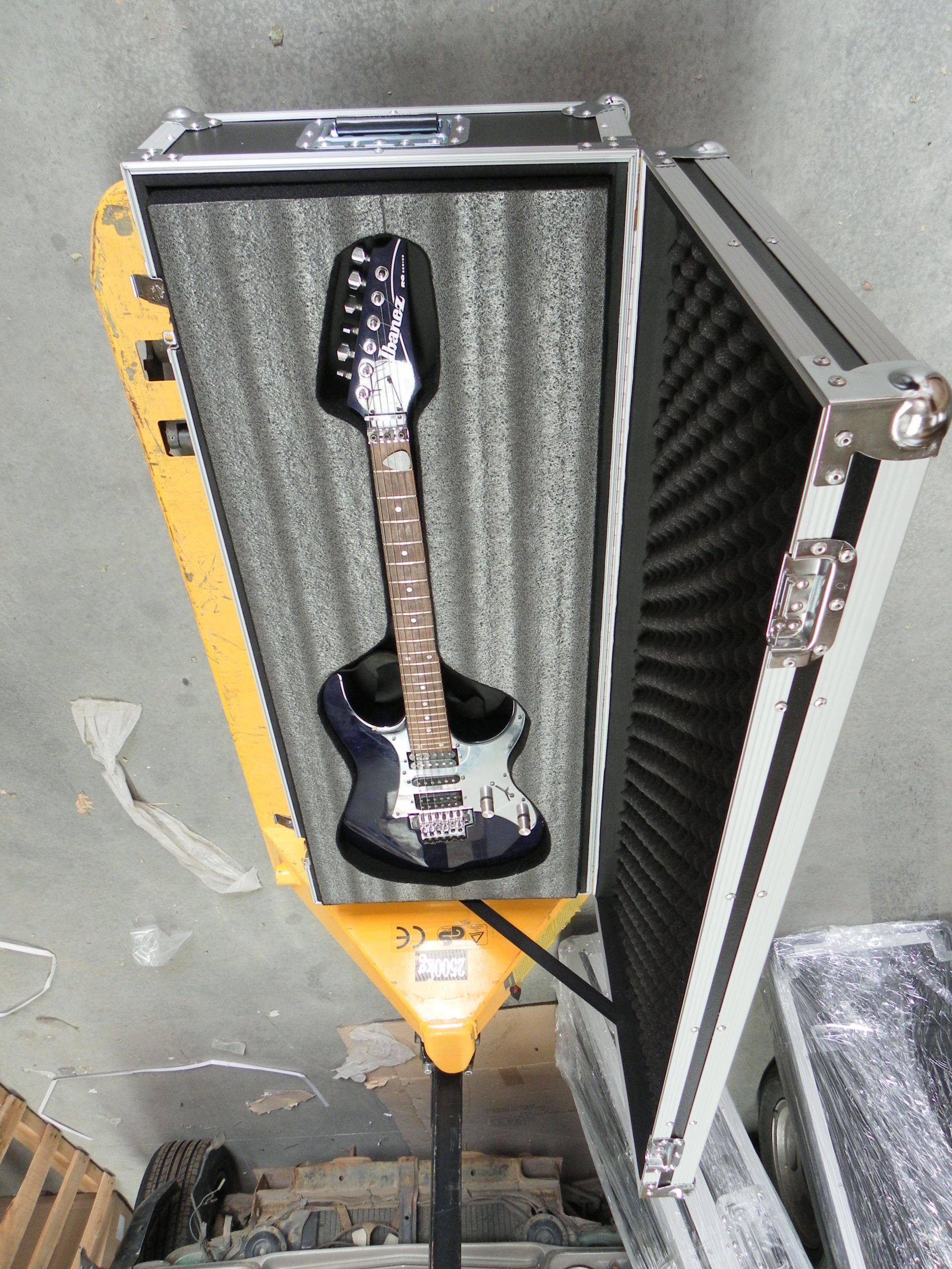 Custom Double Electric Guitar Case (view 4 of 7)