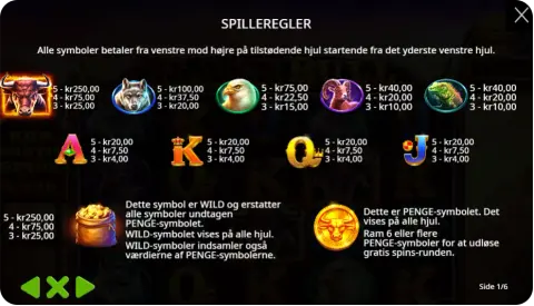 Wild-symboler, bonusrunder og free spins