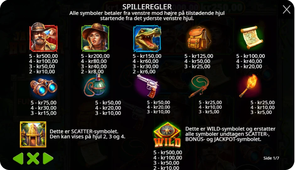 Wilds, bonusspins og andre funktioner