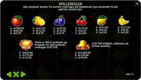 Symboler, wilds og specialfunktioner