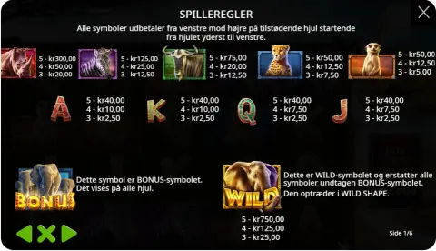 Wilds, bonusfunktioner og gratis spins