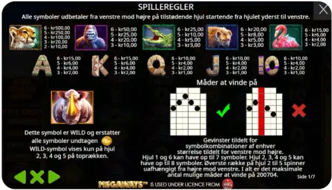 Bonusfunktioner og free spins – Her sker magien