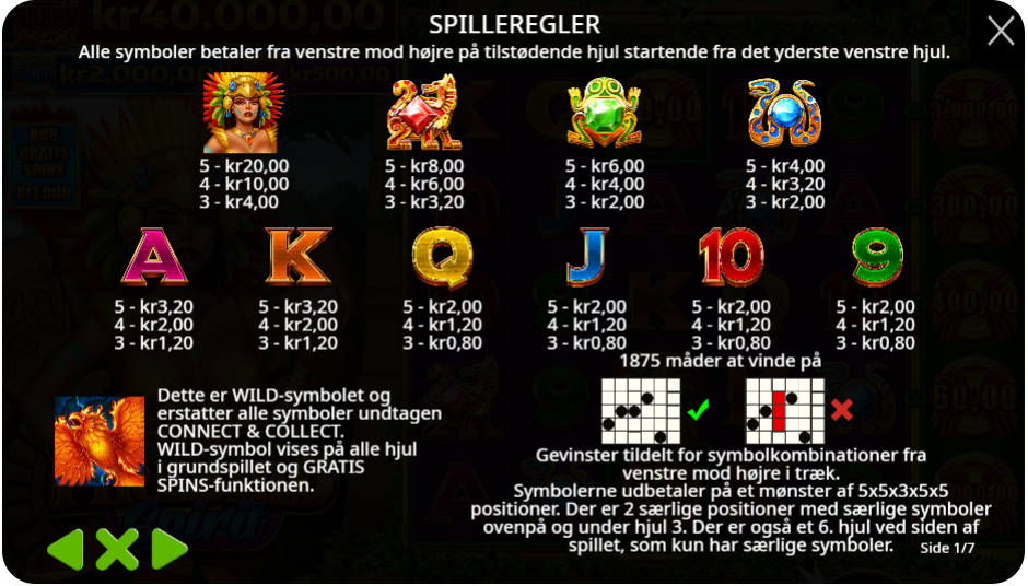Wilds, Bonusser og Specialfunktioner