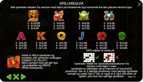 Wilds, Bonusser og Specialfunktioner