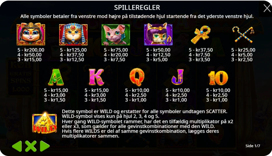 Bonusfunktioner – Wilds, respins og Free Spins